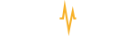 PayPulse Logo