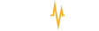 PayPulse Logo